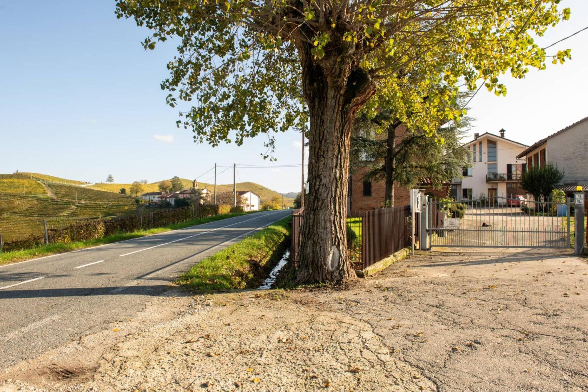 Casa Rubbo - Appartamento In Collina 'Monviso' Alba  Extérieur photo
